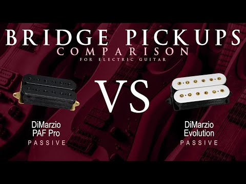 DiMarzio PAF PRO vs EVOLUTION - Passive Bridge Guitar Pickup Comparison Tone Demo