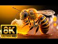 INSECT BEAUTIFUL 8K 60FPS ULTRA HD With Nature Sounds Colorfully Dynamic