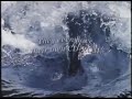 The Little Mermaid II Return To The Sea CD Rom Promo Backwards
