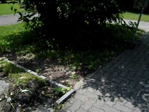 temporary bus station liebrüti in kaiseraugst (part 1/2)