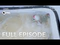 Mystery Of The Spinning Fish Full Episode