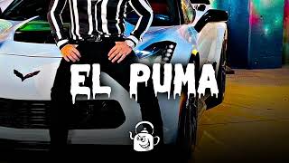 Los Tucanes De Tijuana - El Puma