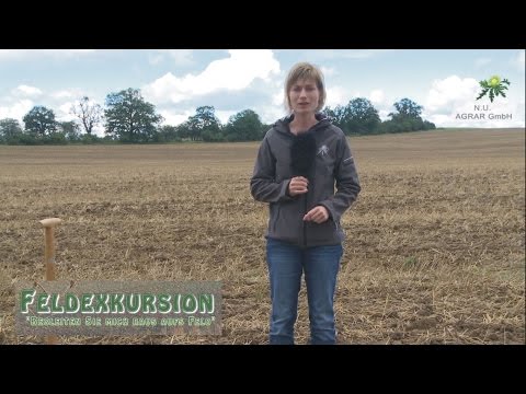 47. Feldexkursion: Aussaat von Raps und wie waren die Getreide-Erträge?