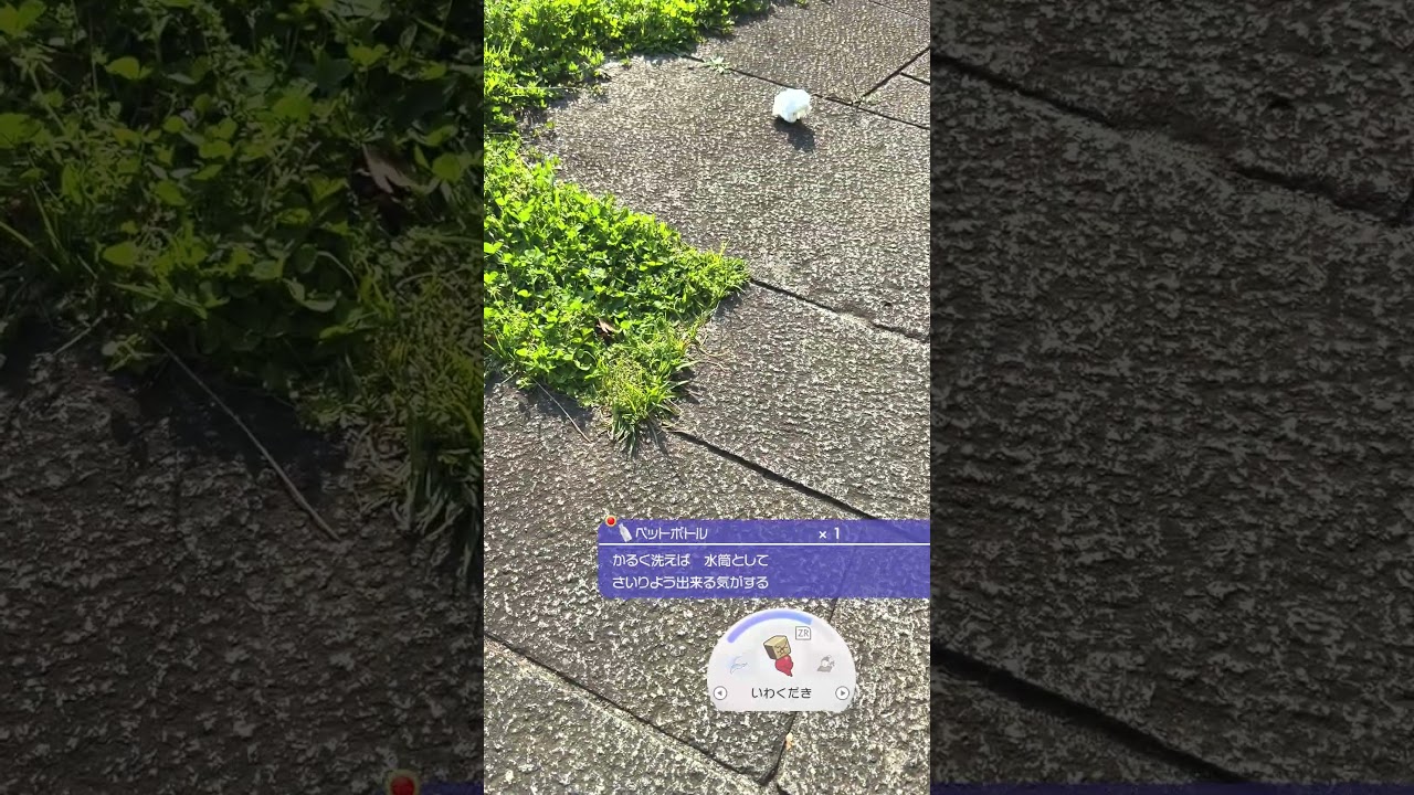 【現実ぽこポケ 】#ぽこあポケモン #ポケモン #ポケットモンスター #nintendo #nintendoswitch #pokemon #pokemonpokopia