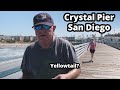 Crystal Pier, San Diego CA - Pier Fishing in California