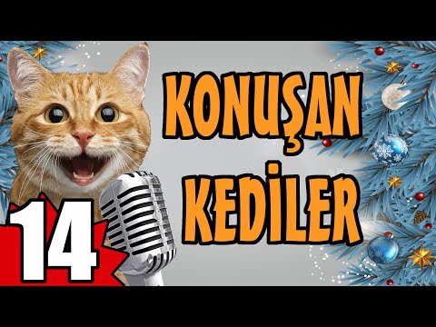 Konuşan Kediler 14 - En Komik Kedi Videoları