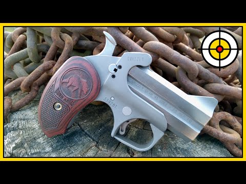 🐻Not Your Average Bear!🐻 Bond Arms Grizzly .45 Colt \u0026 .410 Derringer Range Review \u0026 First Shots!