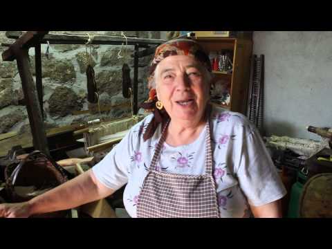 D. Ana Teceleira de Agarez