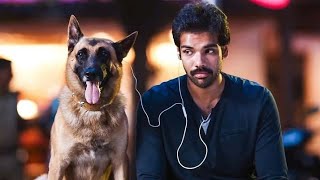 Dog lovers WhatsApp status tamil // International dog day // Dogs // Pets // VK Entertainment //