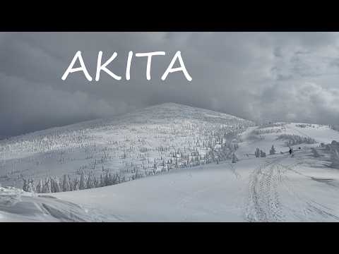 2025 JAN 日本東北秋田 Akita VLOG | 森吉山樹冰/田澤湖滑雪場