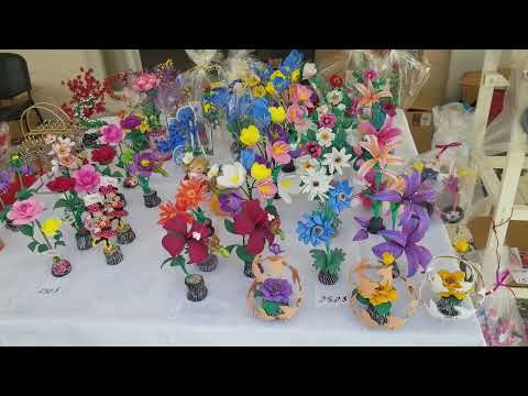 Bahía Honda ofrece diversas actividades para el verano