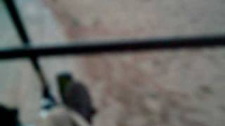 ATERRIZAJE EN EL COMPLEJO