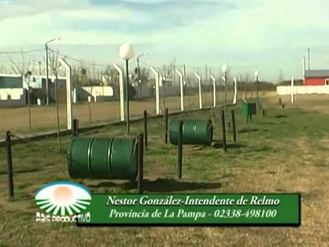 RELMO  PROVINCIA   DE LA PAMPA   INTENDENTE NESTOR GONZALEZ