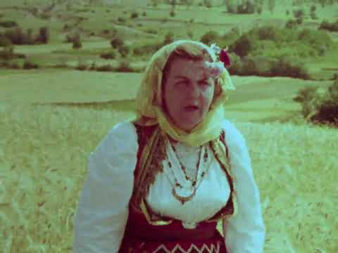 Еден повод, многу песни - Рада жние на два пата