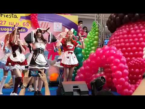 Maysa CMJ Trainee : Ignite