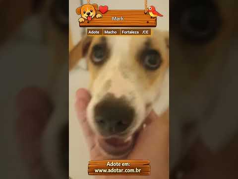 Vídeo de Mark