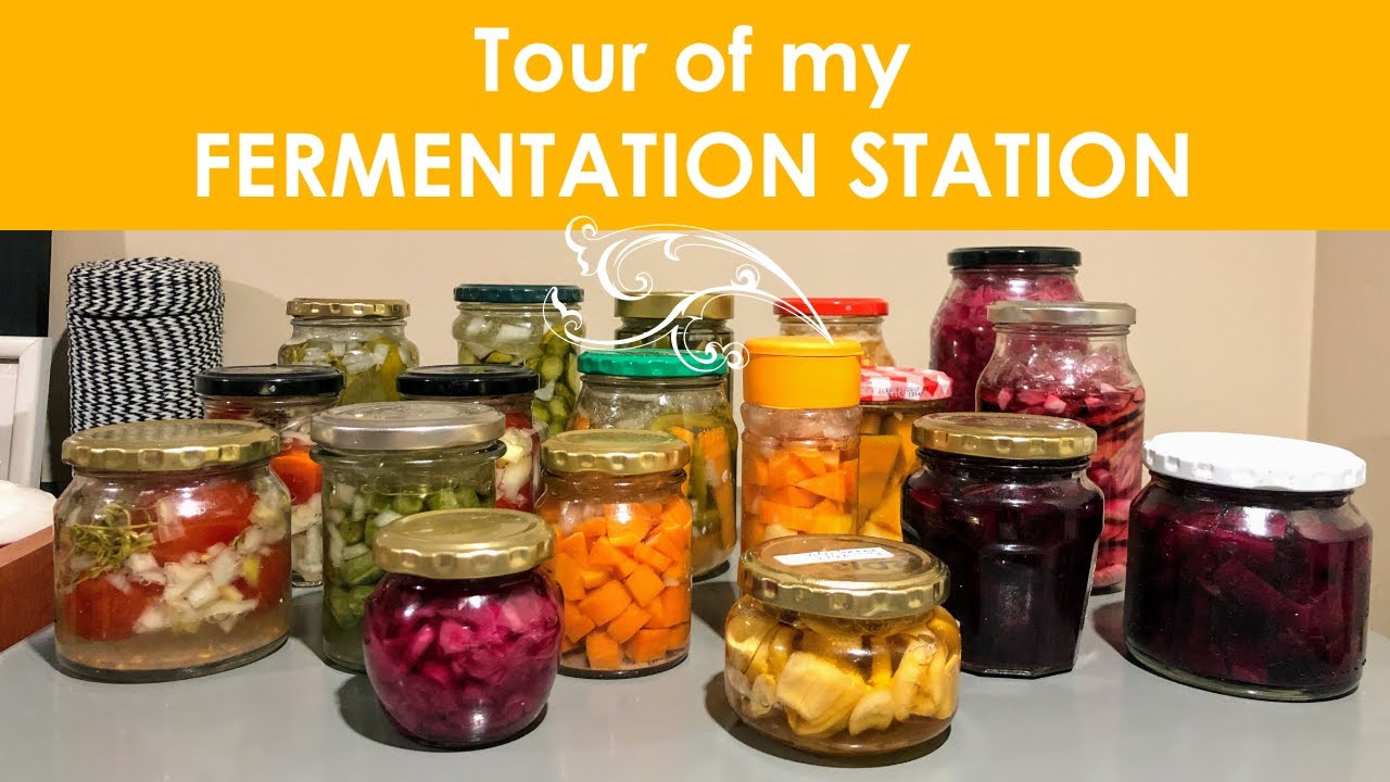 Fermentation Station Tour: Recipes I use & Fermentation Tips for Beginners [Fermented Foods]