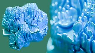 3D Differential Growth video thumbnail