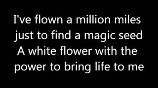 Katy perry Humming bird Heartbeat lyrics