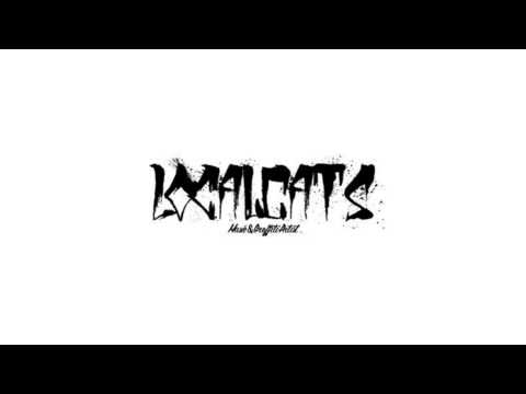 Lokalne Koty / Joes, Promil, Kahowski, Many - Byliśmy tu od zawsze