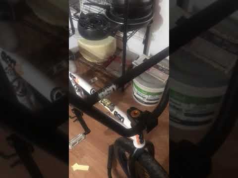 Bsd freedom bike check 2020