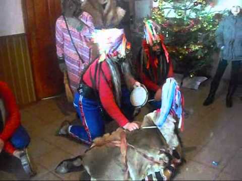 cerb crivesti la strunga