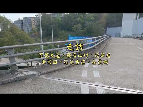 老鼠岩