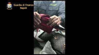 contraffazione-maxi-blitz-della-finanza-ad-afragola