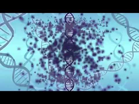 Your DNA, the Environment, and Epigenetics