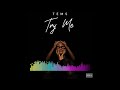 Tems - Try Me [Audio]