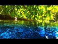 Peaceful Stream Sounds 10 Hours Sleep Study Focus Water White Noise