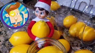 BAD KID MAKES MESS! ELF on the SHELF Dies? OLAF SCARES BABY! Gross Candy + More (FUNnel Vision Vlog)