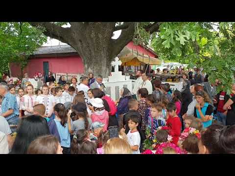 Discurs Primar comuna Lisa, jud. Teleorman - Bacanu Daniel