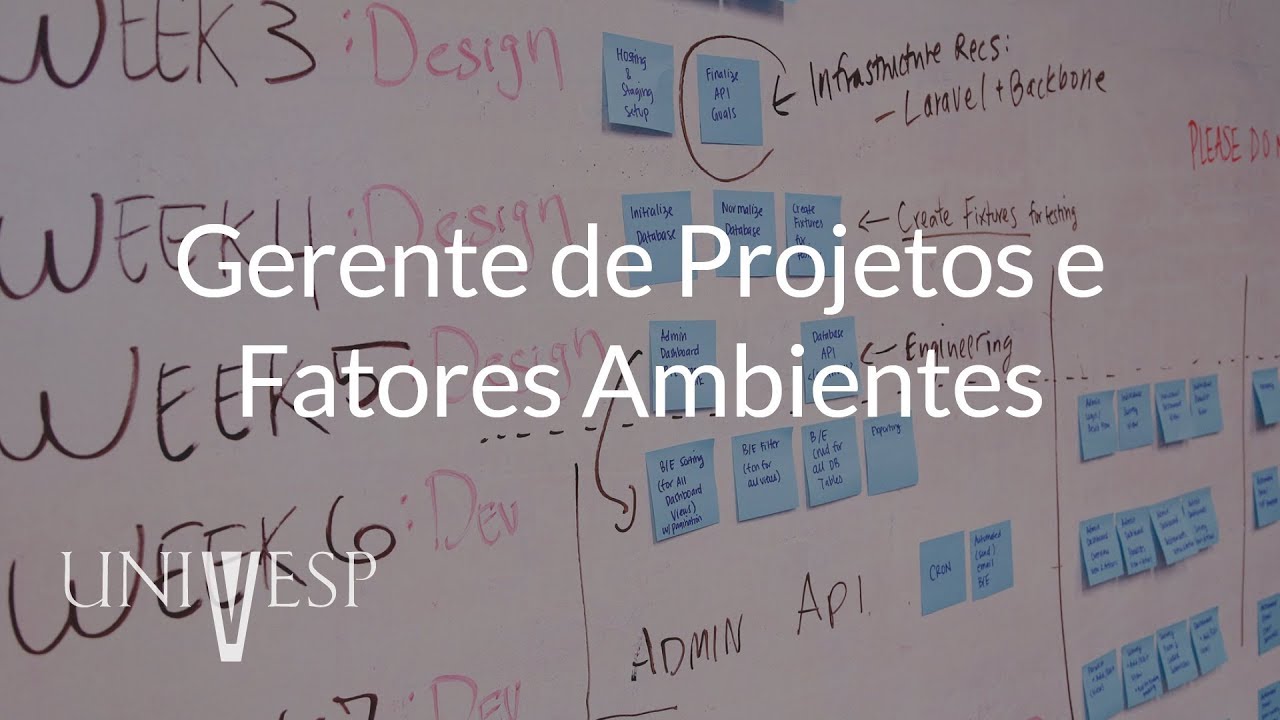 Gestão de Projetos - Aula 04 - Gerente de projetos e fatores ambientais