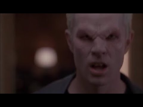 Spikes Bites Cordelia