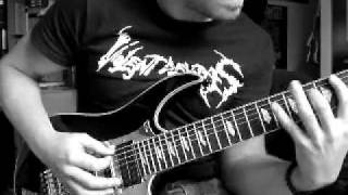 Bloom - Scale the summit guitar cover