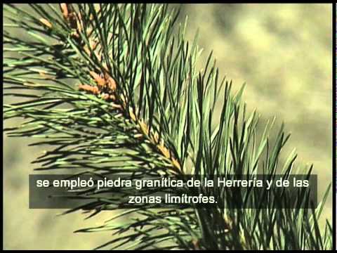 El Escorial, ¿la octava maravilla del mundo o un simple Palacio?. Argentinos reaccionan.