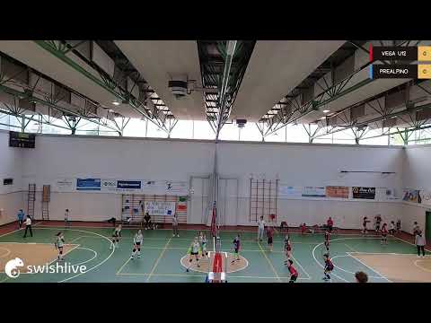 Basato in diretta sull'app Swish Live VEGA U12 VS PREALPINO