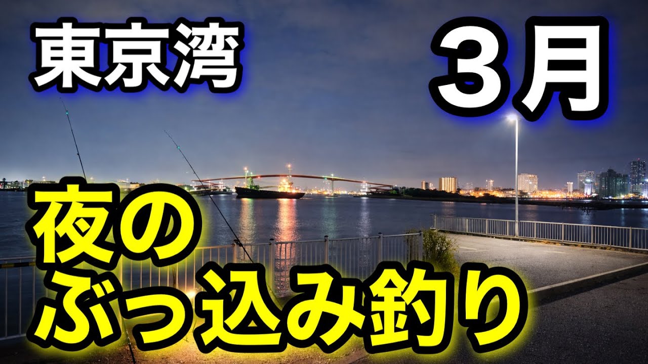 東京湾湾奥で夜のぶっ込み釣り！狙うは美味しい魚🐟