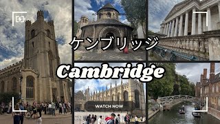 ケンブリッジの週末散歩｜親子で楽しむ大学街の休日 