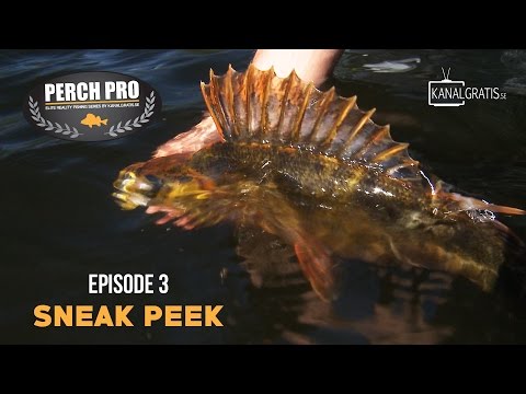 Perch Pro 2017 - Sneak Peek Ep. 3 - Kanalgratis.se