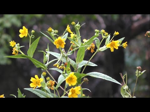 Morning Prayer –Monday, 27th September 2021