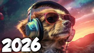 TOP ELETRO HITS 2026 🔥 AS MELHORES MÚSICAS ELETRÔNICAS DO MOMENTO | EDM, HOUSE, TECH HOUSE, BASS 🔊
