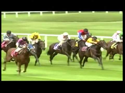 München-Riem, Dallmayr Coupe Lukull, 29.7.2012 - Siegerin: Wolkenburg