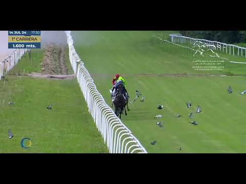 SHEIKH ZAYED BIN SULTAN AL NAHYAN - LISTED CUP - SAN SEBASTIAN RACECOURSE   |   14/06/2024