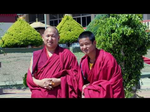 Geshe lharampa graduation ceremony (29/01/2024)
