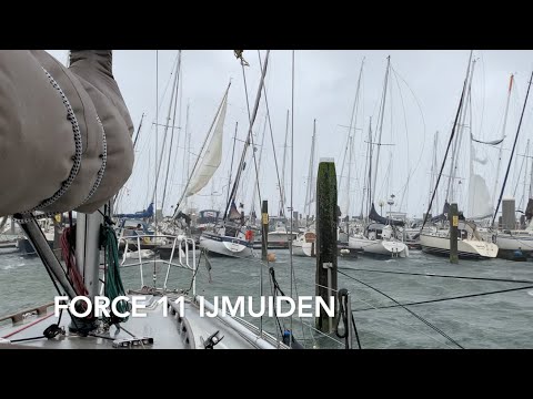 Force 11 in IJmuiden - Ep. 145