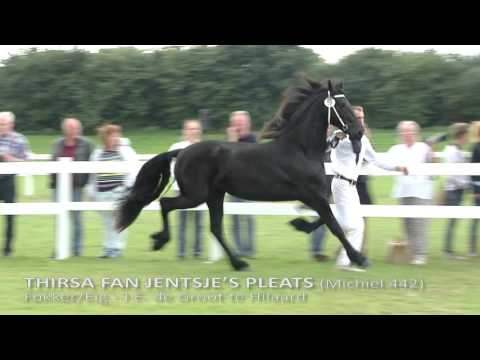 Jeugdkampioenschappen centrale keuring 2016