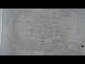 ZOOLOGY B SC 2 YEAR TORNARIA LARVA 12 11