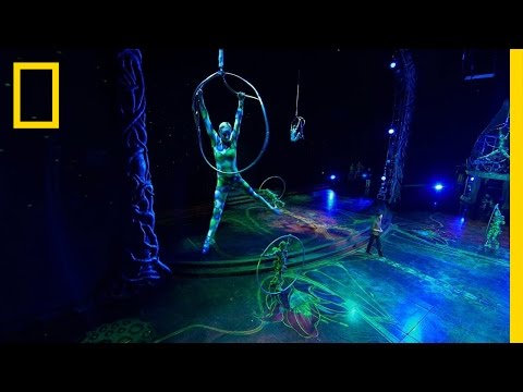 擴展你的想像力 (Stretch Your Imagination | Brain Games)